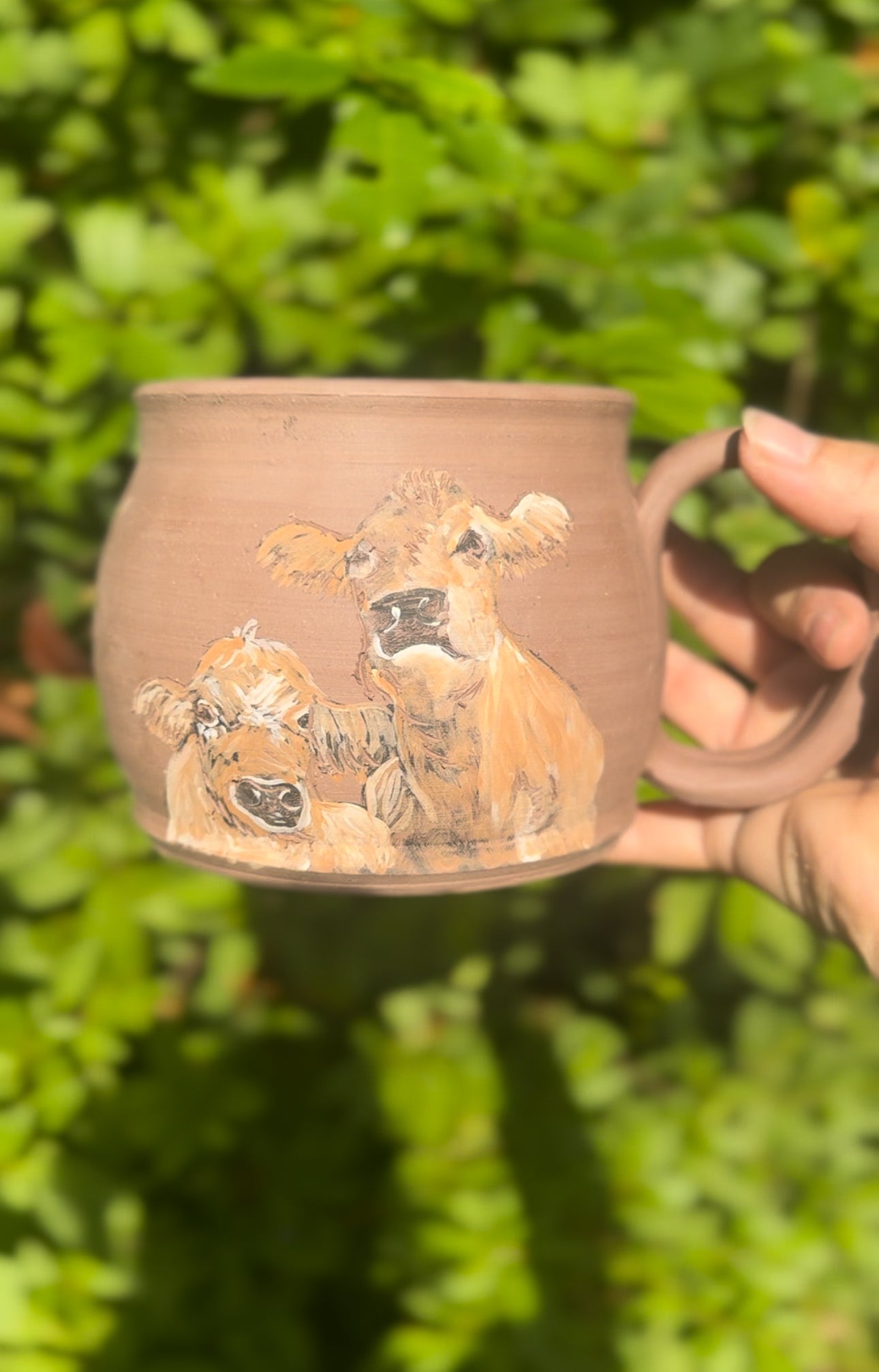 Jersey Cow