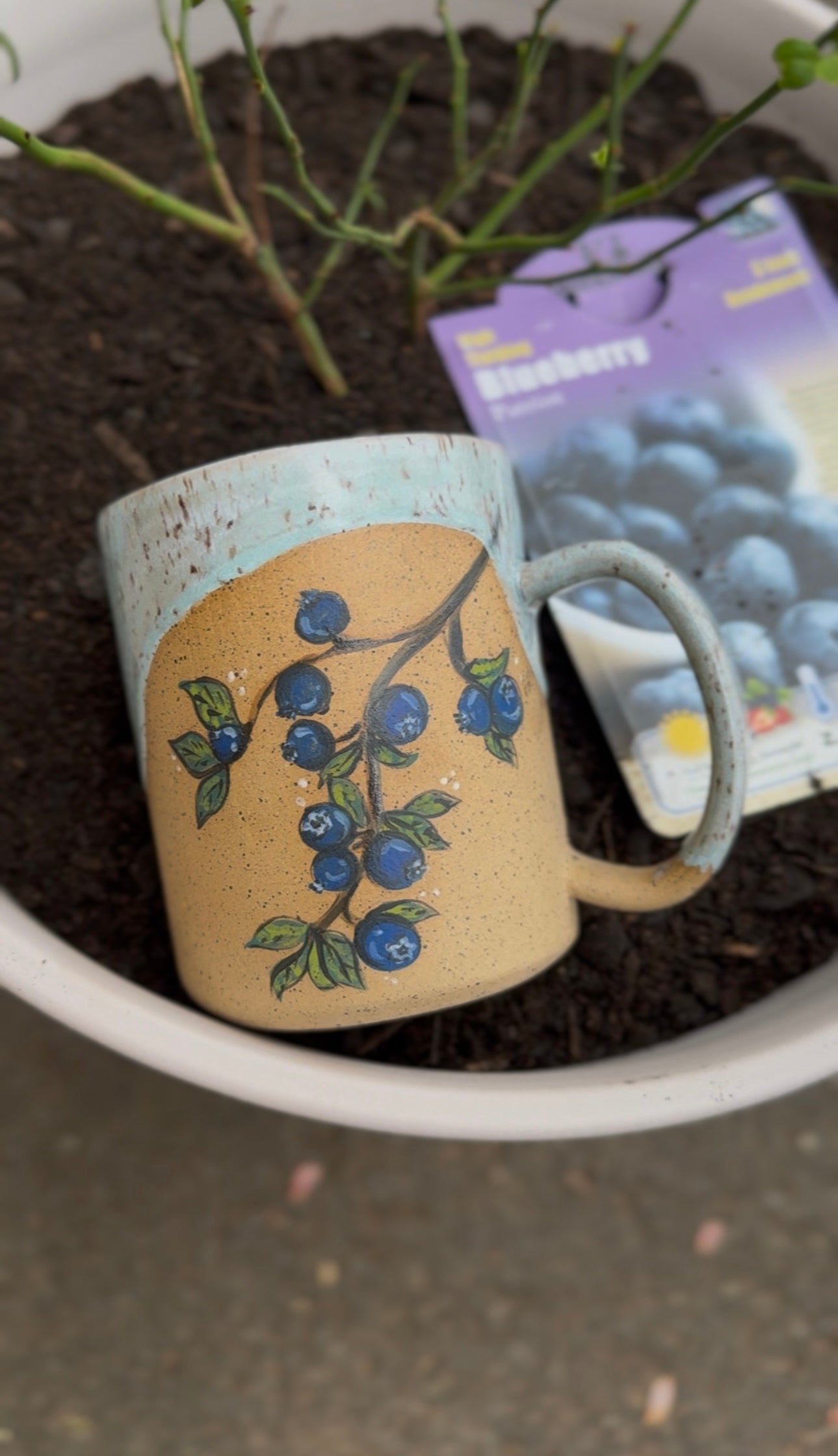 Blueberry Patch Mug