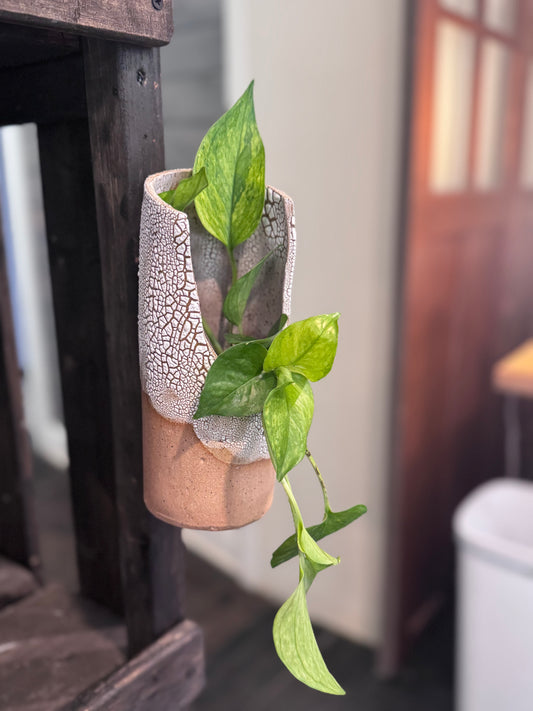 Wall Hanging Planter/Vase