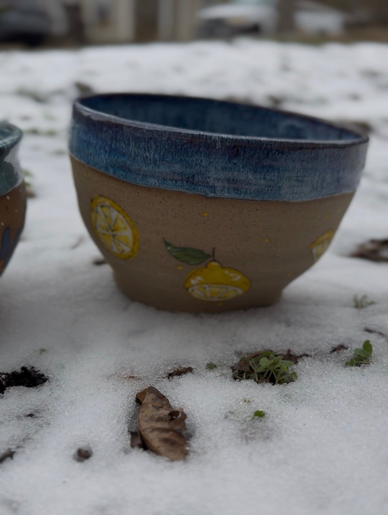 Sourdough Bowls