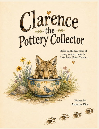 Book Cover Variant Thumbnail